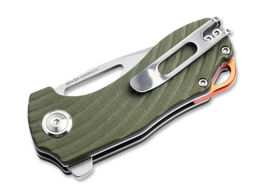 Magnum Tadpole