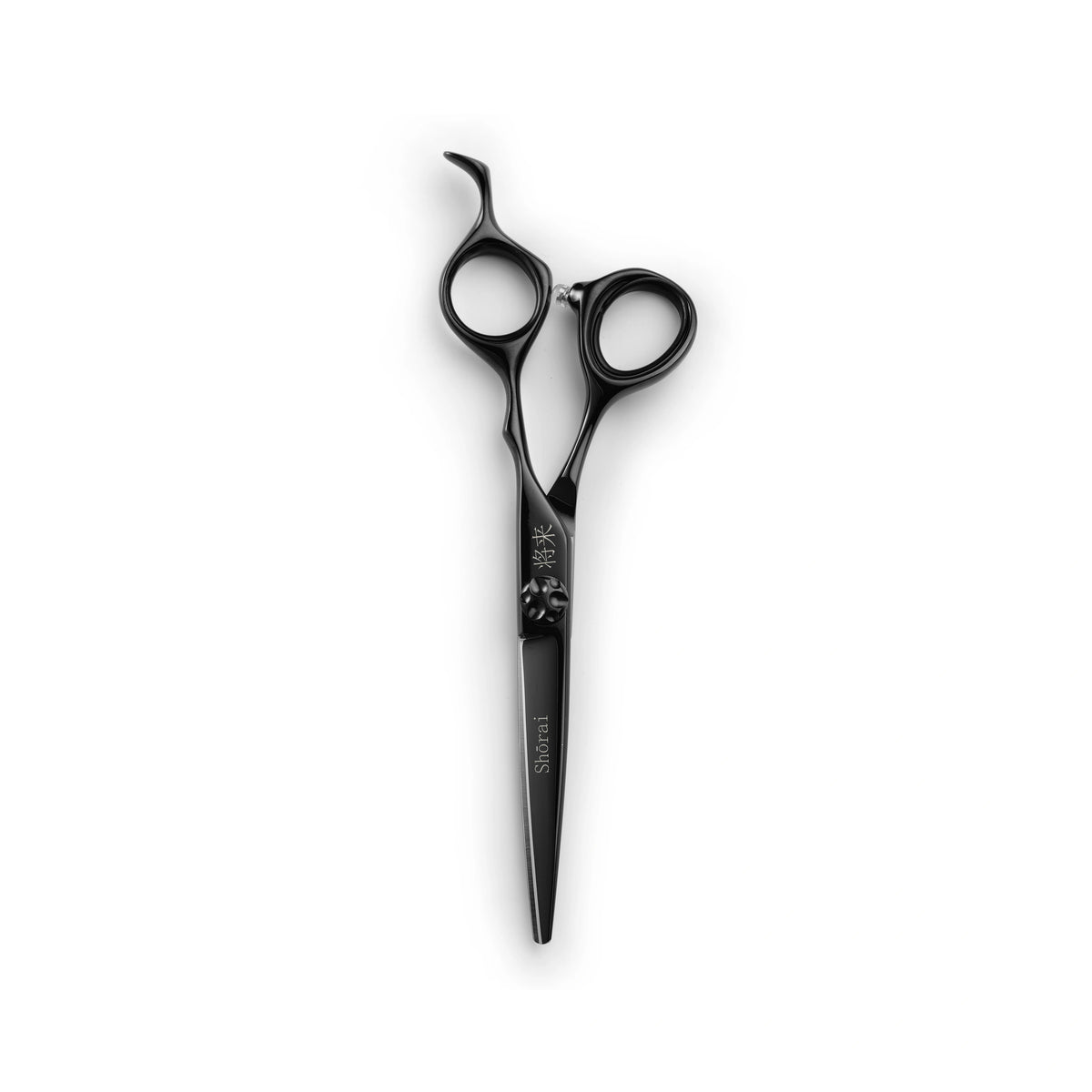 Shorai SC 6.5 black frisörsax