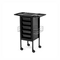 Salon Furnitures Trolley, metal – vagn