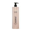 Moisture & Color Shampoo 1000ml från Vision