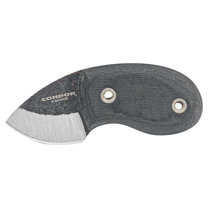 Condor Tortuga