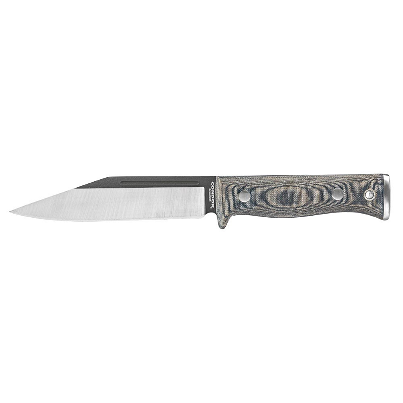 Condor Sigrun