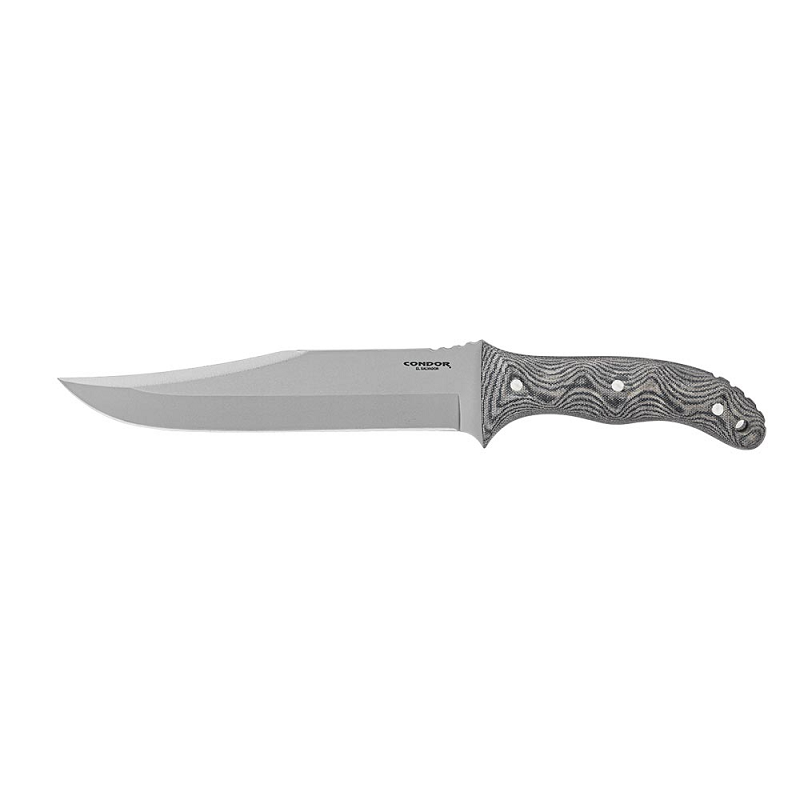 Condor Belgian Bowie
