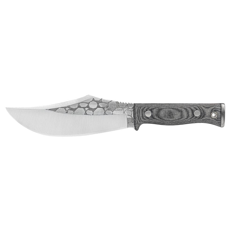 Condor Gryphus Bowie