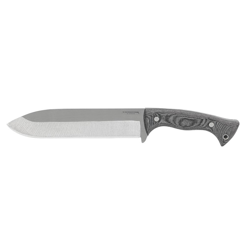 Condor Balam