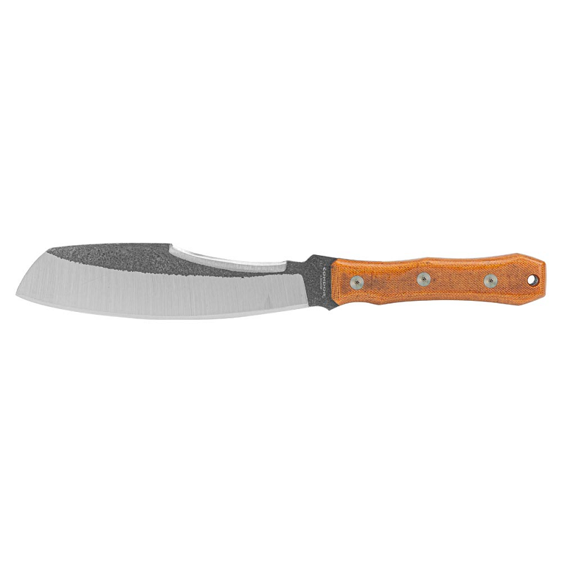Condor Mountain PASS Surveyor