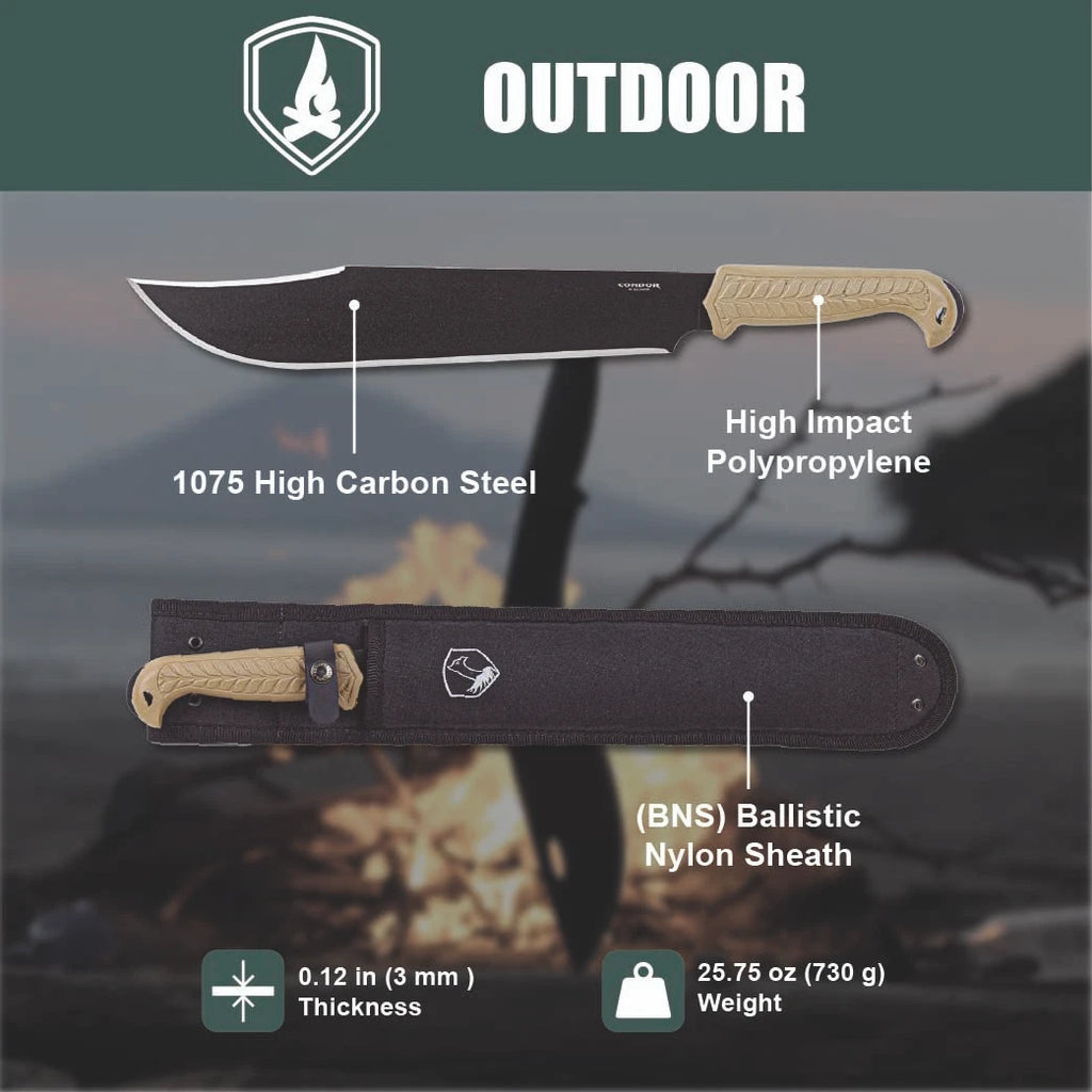 Condor Terra Bowie Desert