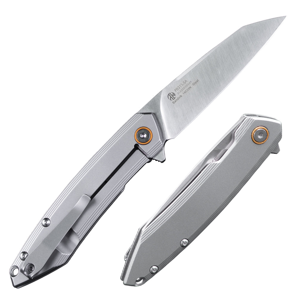 P831S-SA Ruike