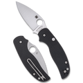 Spyderco Sage 6