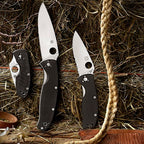 Spyderco Polestar