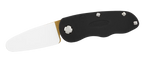 FS3