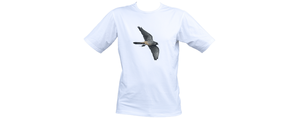 T-shirt CK (Tornfalk)