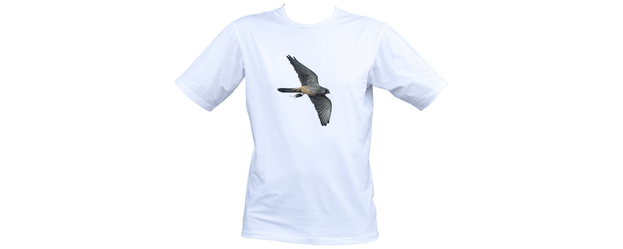 T-shirt CK (Tornfalk)