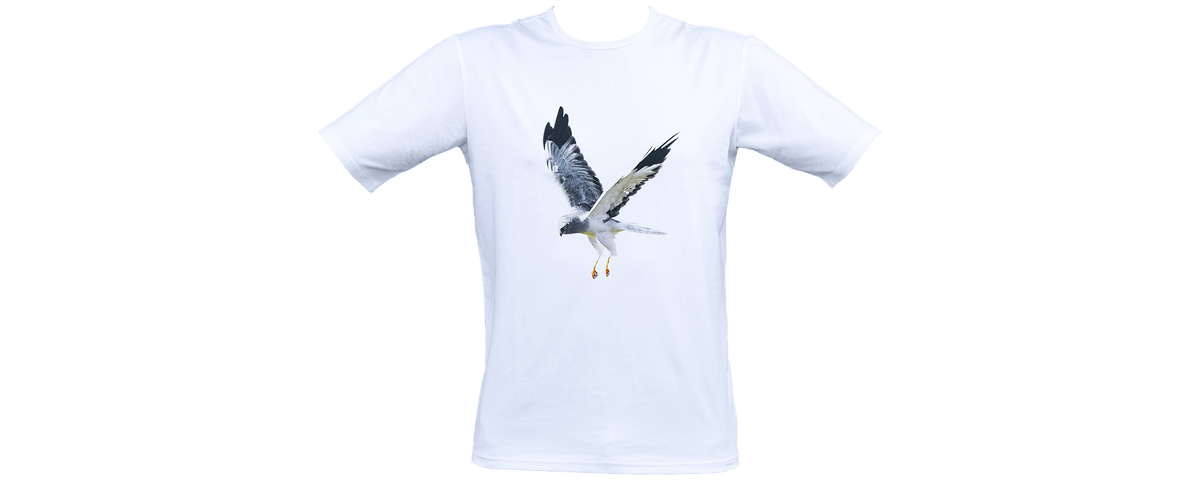 T-shirt HH (Blå Kärrhök)