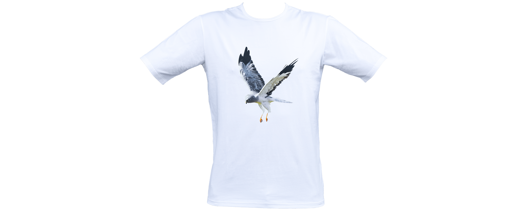 T-shirt HH (Blå Kärrhök)